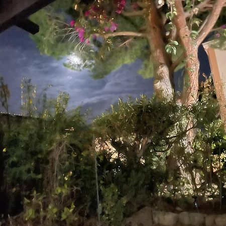 Studio Bandol Avec Jardin Kültér fotó